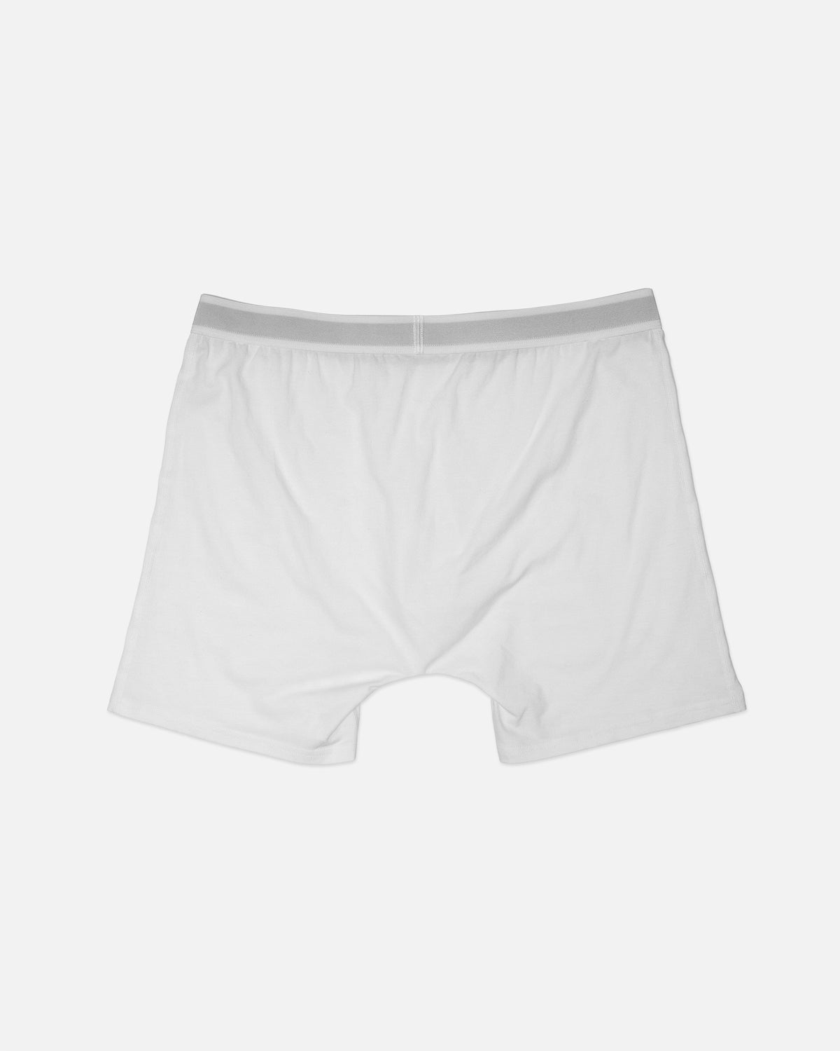 BOXER BRIEF - WHITE / BACK